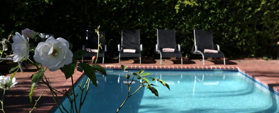 Fynbos swimming pool